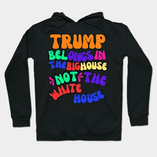 Trump for Prison 2024! Hoodie